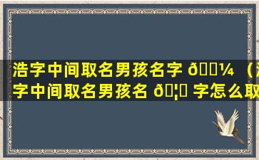 浩字中间取名男孩名字 🐼 （浩字中间取名男孩名 🦊 字怎么取）